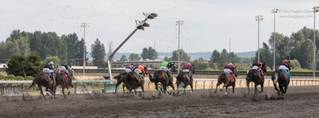 Nine racing horses approach the finish line while kicking up track dirt