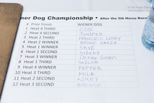 List of wiener dog championship finalists