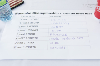 List of wannabe championship finalists