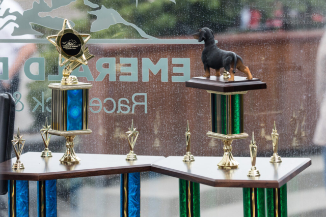 Championship trophies, featuring a blue "wiener wannabe" trophy at left, and a green "wiener dog" trophy at right