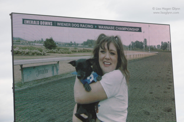 On a Jumbotron display, a smiling person holds a black dog in a blue "3" scarf.