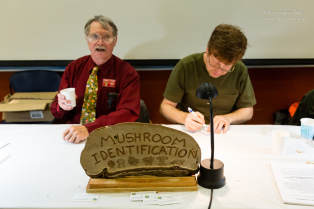 Two volunteers sit at the mushroom identification station