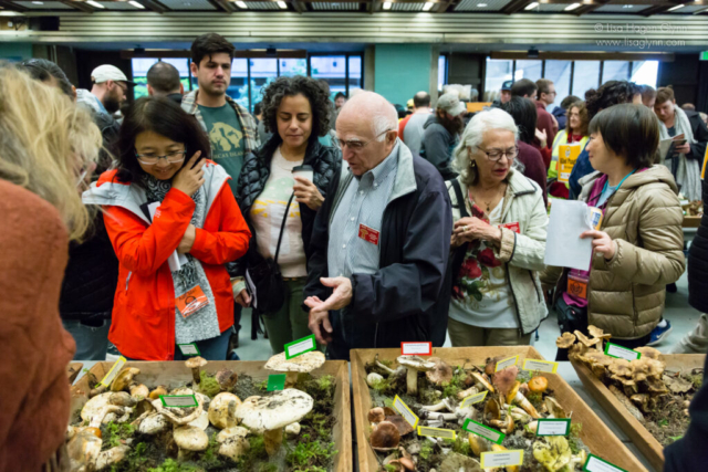 A PSMS volunteer leads a tour of mushroom specimens