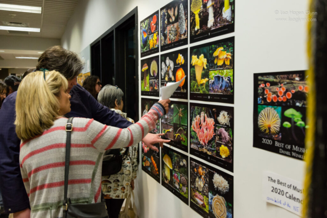 Attendees view a poster of wild mushroom photos