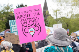 A sign reads, "We need to talk about the elephant in the womb"
