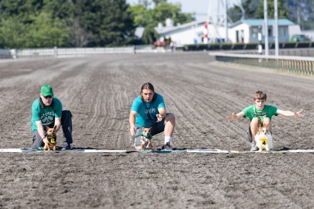 Wiener Dog & Wannabe Races 2025