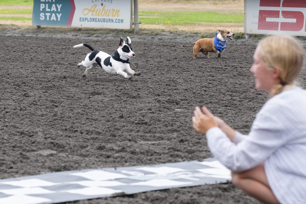 Wiener wannabes sprint toward the finish. (photo: Lisa Hagen Glynn)