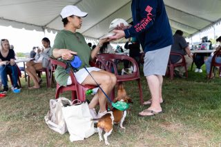 Wiener Dog & Small Dog Races at Emerald Downs 2026 (photo: Lisa Hagen Glynn)