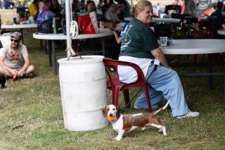 Wiener Dog & Small Dog Races at Emerald Downs 2026 (photo: Lisa Hagen Glynn)