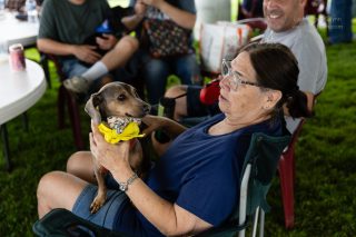 Wiener Dog & Small Dog Races at Emerald Downs 2026 (photo: Lisa Hagen Glynn)
