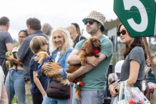 Wiener Dog & Small Dog Races at Emerald Downs 2026 (photo: Lisa Hagen Glynn)