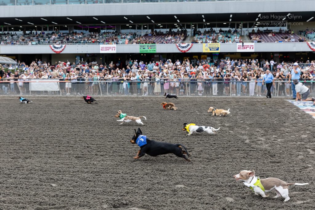 And they're off! (photo: Lisa Hagen Glynn)