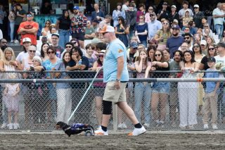 Wiener Dog & Small Dog Races at Emerald Downs 2026 (photo: Lisa Hagen Glynn)