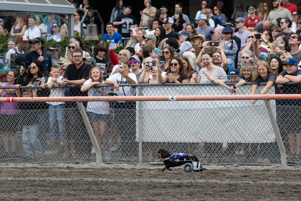 "Mary Poopins" finishes strong. (photo: Lisa Hagen Glynn)