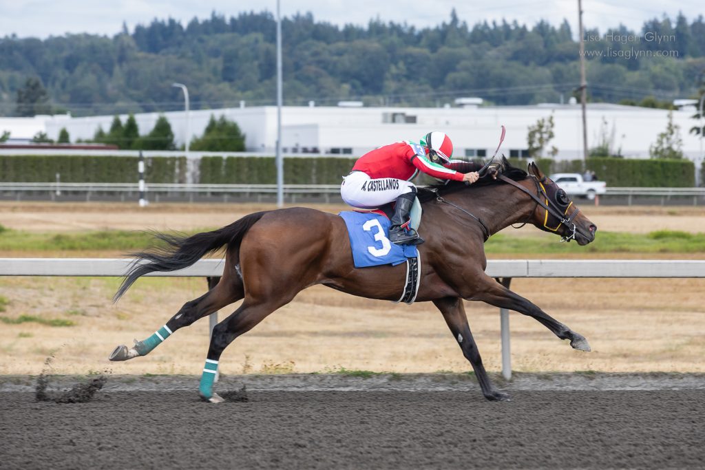 Wiener Dog & Small Dog Races at Emerald Downs 2026 (photo: Lisa Hagen Glynn)