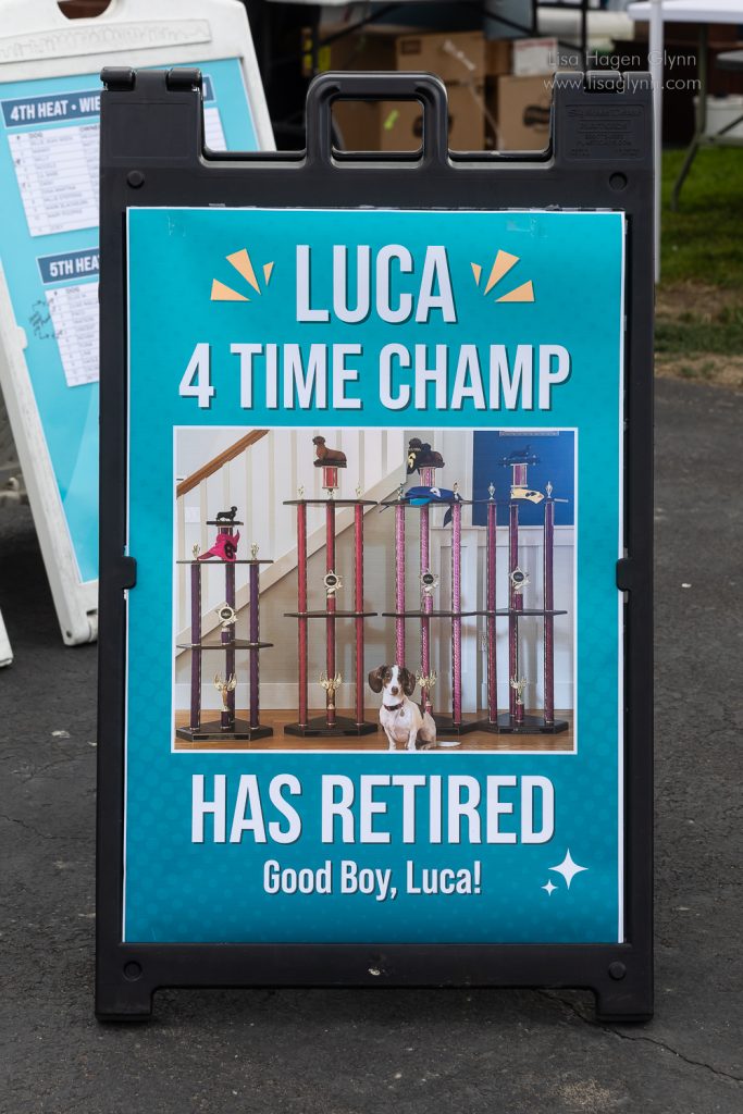 Wiener Dog & Small Dog Races at Emerald Downs 2026 (photo: Lisa Hagen Glynn)