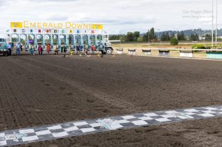 Wiener Dog & Small Dog Races at Emerald Downs 2026 (photo: Lisa Hagen Glynn)